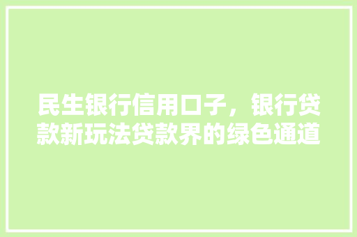 民生银行信用口子，银行贷款新玩法贷款界的绿色通道