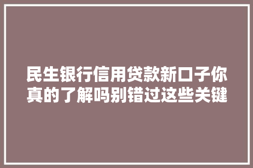 民生银行信用贷款新口子你真的了解吗别错过这些关键信息