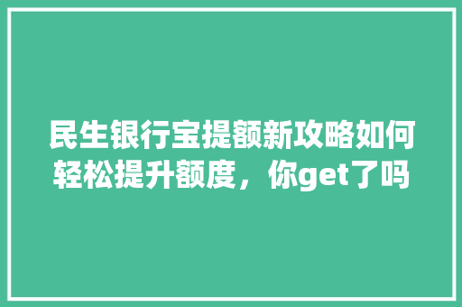 民生银行宝提额新攻略如何轻松提升额度，你get了吗