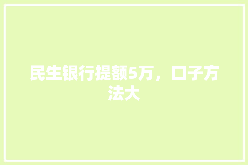 民生银行提额5万，口子方法大